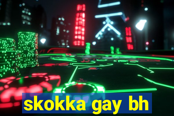 skokka gay bh